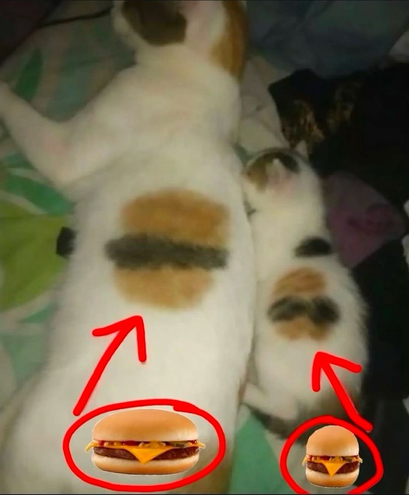 is