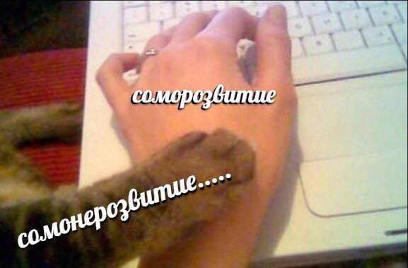 соморозвитие