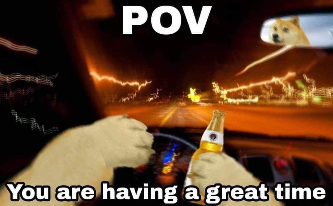 POV You are having great time
