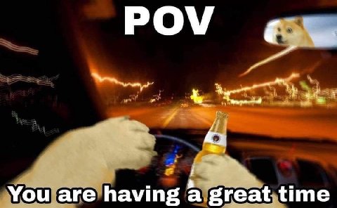 POV You are having great time