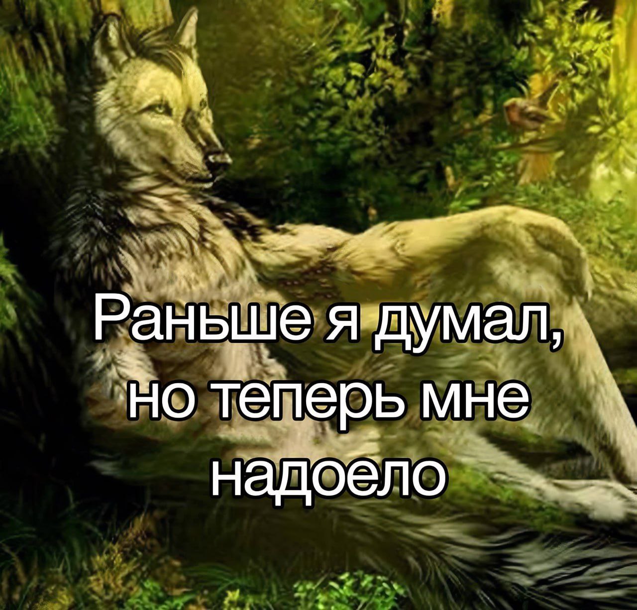 Раньше я думал, но теперь мне надоело