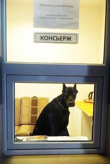 СОБСТВЕННИКИ! A a oll