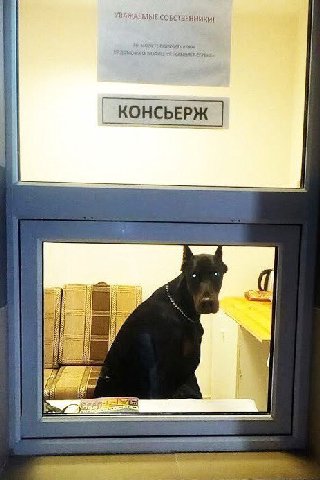 СОБСТВЕННИКИ! A a oll