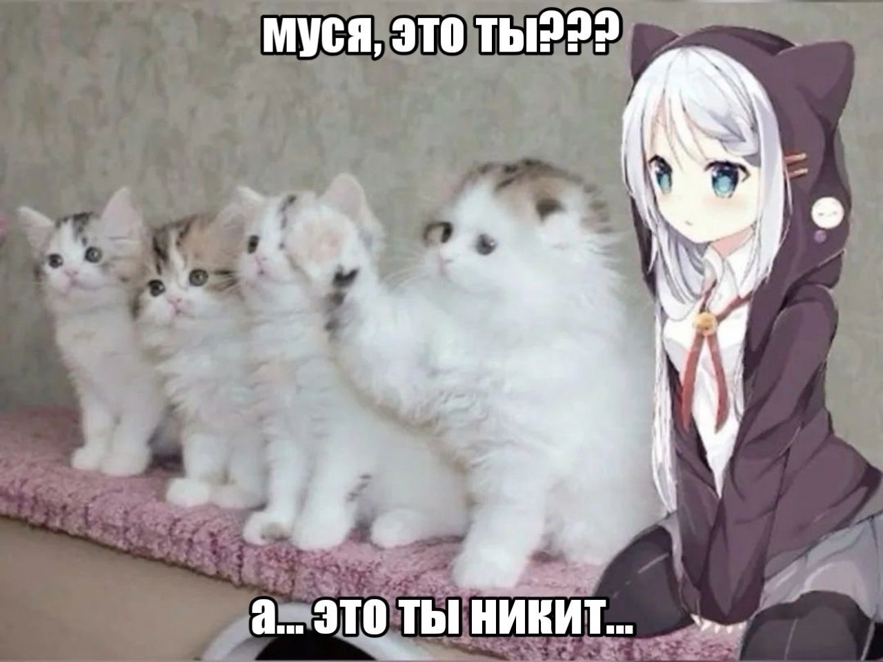 Муся, это Thi??? if а. это ты никит..