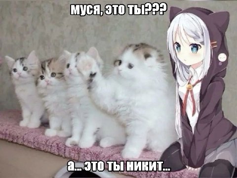 Муся, это Thi??? if а. это ты никит..