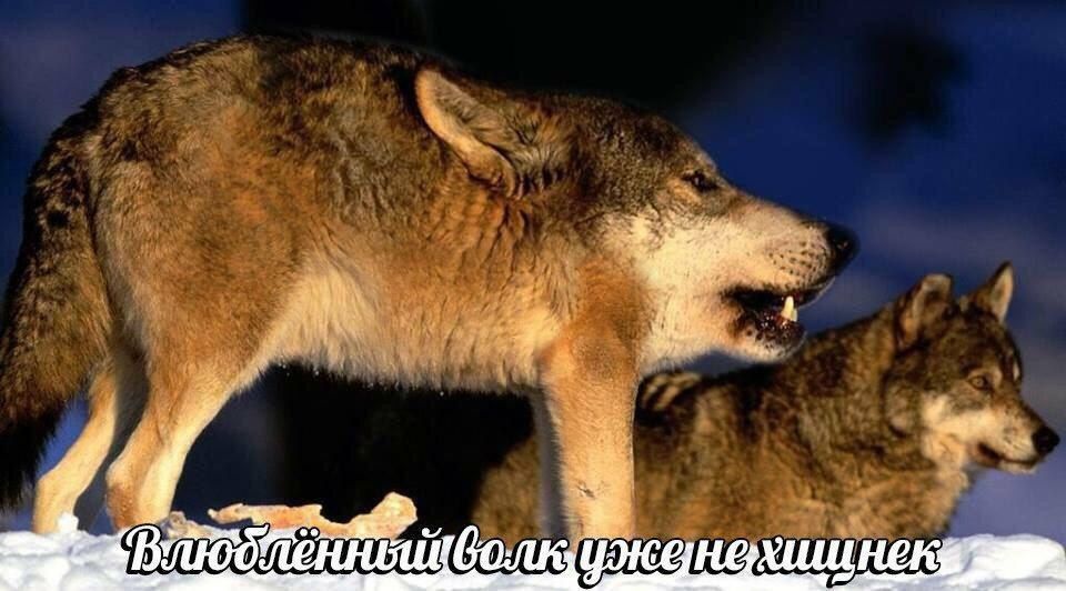 уже нехиш НЕК
