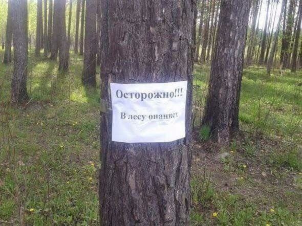 i 3! 4 4 Осторожно... В лесу
