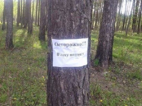 i 3! 4 4 Осторожно... В лесу