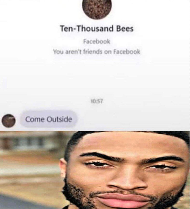 Ten-Thousand Bees Facebook You aren't frends on Facebook Come Outside
