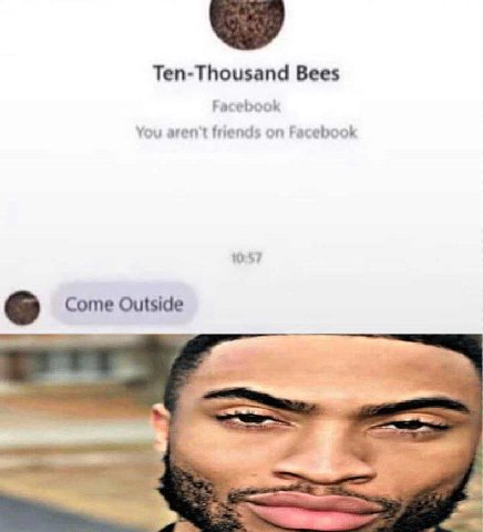 Ten-Thousand Bees Facebook You aren't frends on Facebook Come Outside