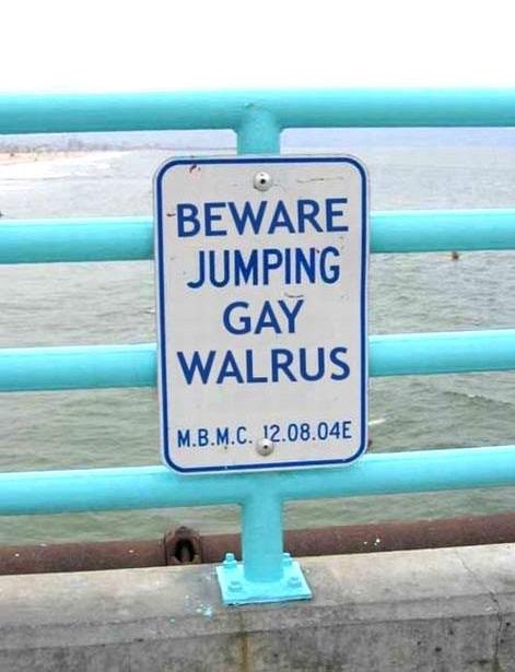 BEWARE GAY WALRUS M.B.M.C.