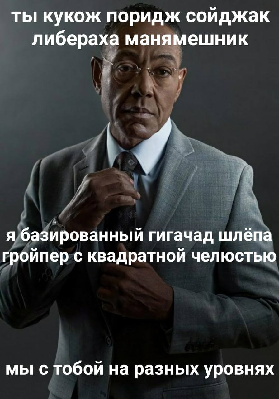 ты кукож поридж соиджак либераха манямешник я базированный гигачад шлёпа гройпер с квадратной челюстью мы с тобой на разных уровнях