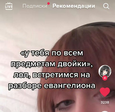 по всем предметам двойки», встретимся на в) разборе евангелиона 3238