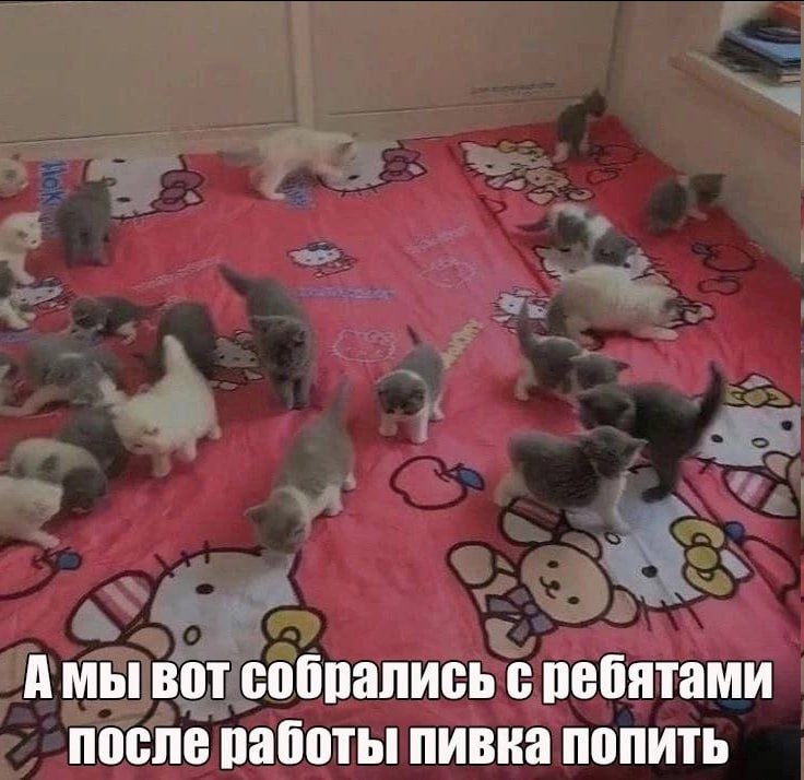 Амы вот собрались с ребятами после работы пивка попить