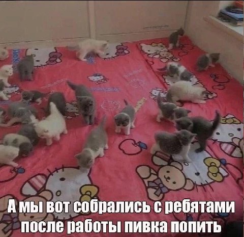 Амы вот собрались с ребятами после работы пивка попить