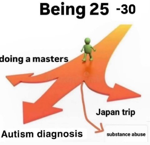 Being 25 -30 doing a masters Japan trip substance abuse Autism diagnosis