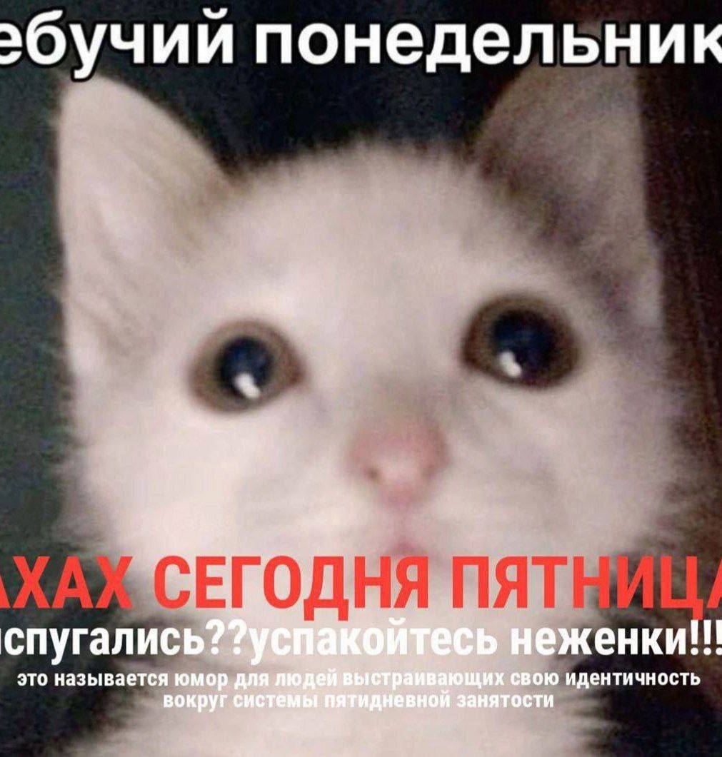 понедельник i Moat спугались? ecb это называется юмор для свою идентичность вокруг занятости