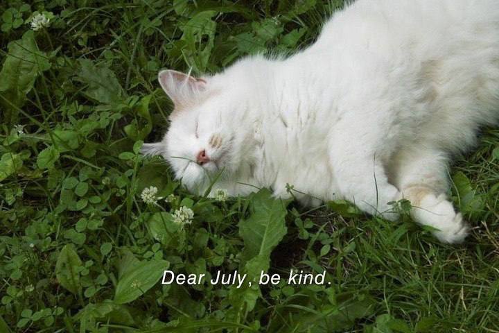 Dear kind