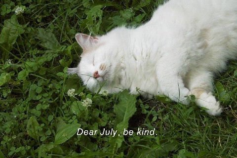 Dear kind