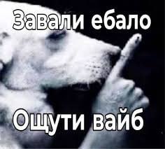Вали ебало