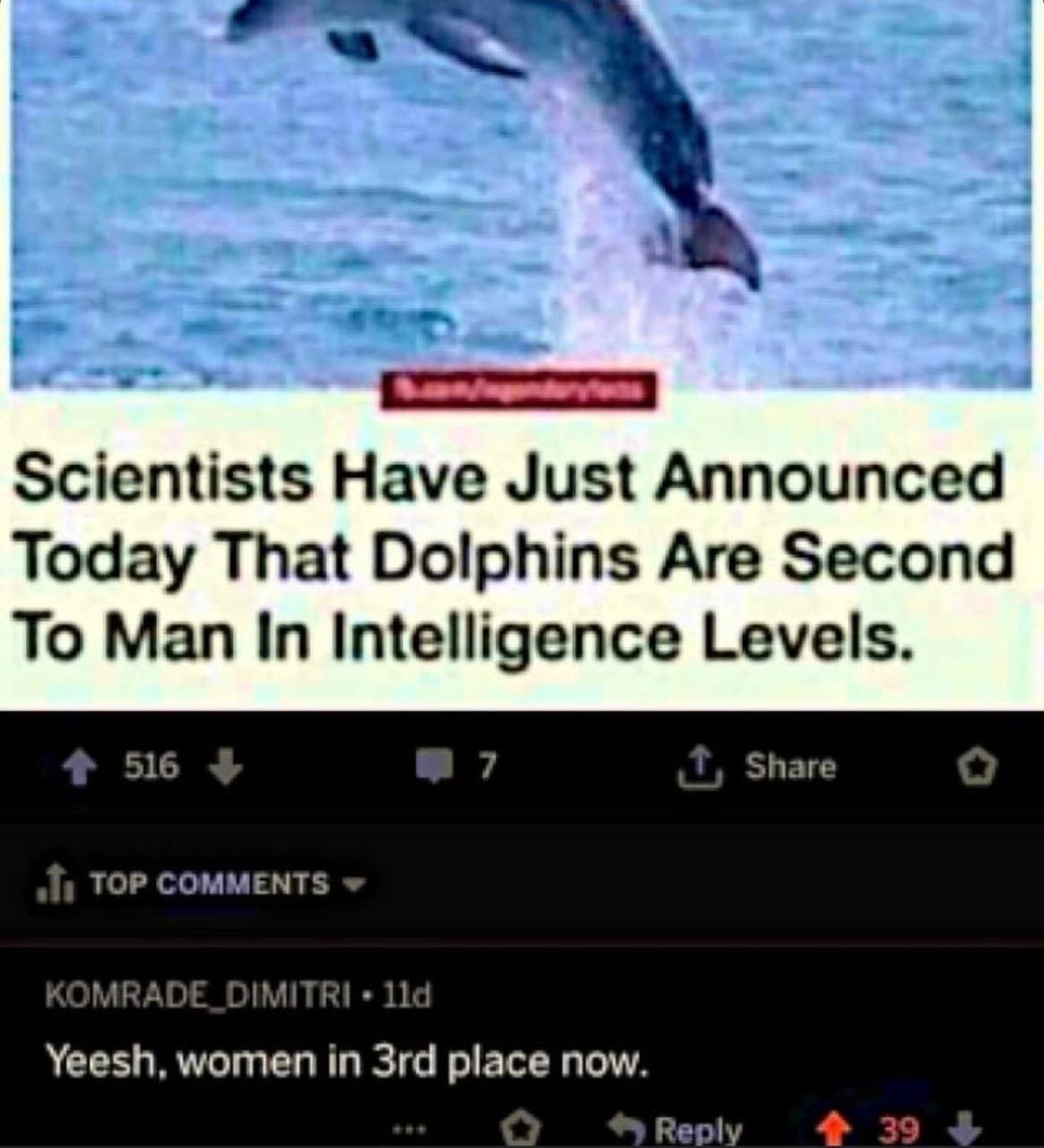 Scientists Have Just Announced Today That Dolphins Are Second To Man In Intelligence Levels. 516 Share TOP COMMENTS 114 Yeesh, women in place now. Reply 39