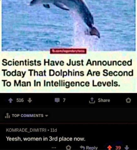 Scientists Have Just Announced Today That Dolphins Are Second To Man In Intelligence Levels. 516 Share TOP COMMENTS 114 Yeesh, women in place now. Reply 39