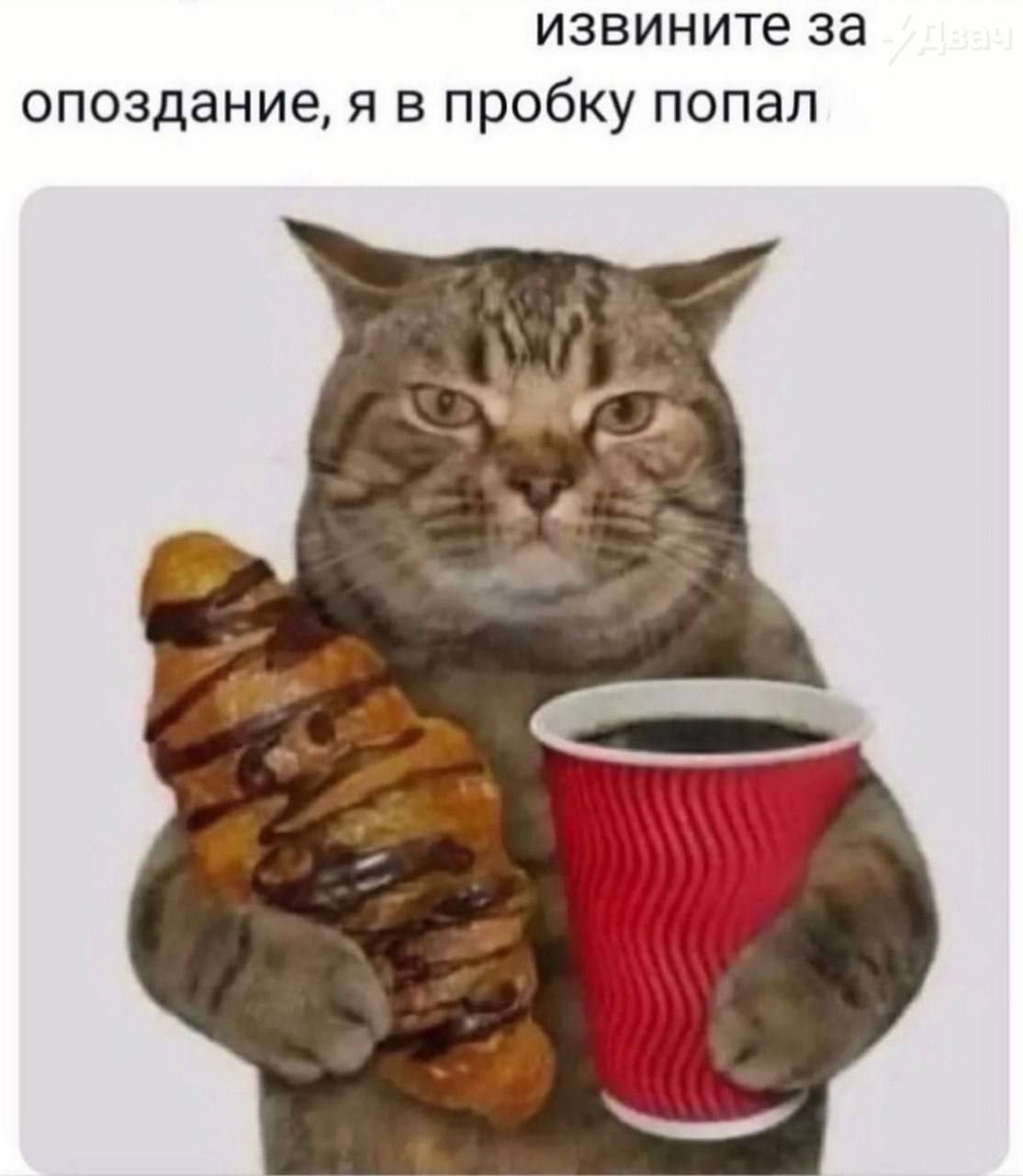 извините за опоздание, я в пробку попал wee”
