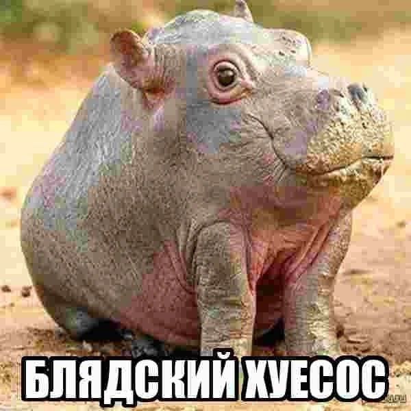 a 7 We 7 4 A 4 A у 5 +4 ure Я С С