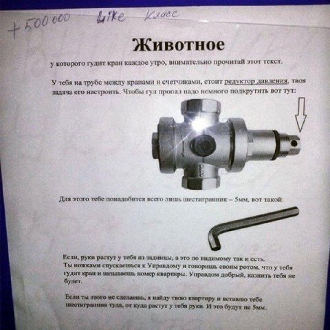 Животное у которого гудит кран каждое утро, внимательно прочи тай этот текст. У тебя на трубе между кранами и счетчиками, стоит редуктор давления, твоя задача его настроить. Чтобы гул пропал надо немн