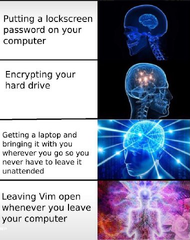Putting a lockscreen password on your computer Encrypting your hard drive Getting a laptop and bringing it with you wherever you so you never have to leave it unattended Leaving Vim open whenever you 
