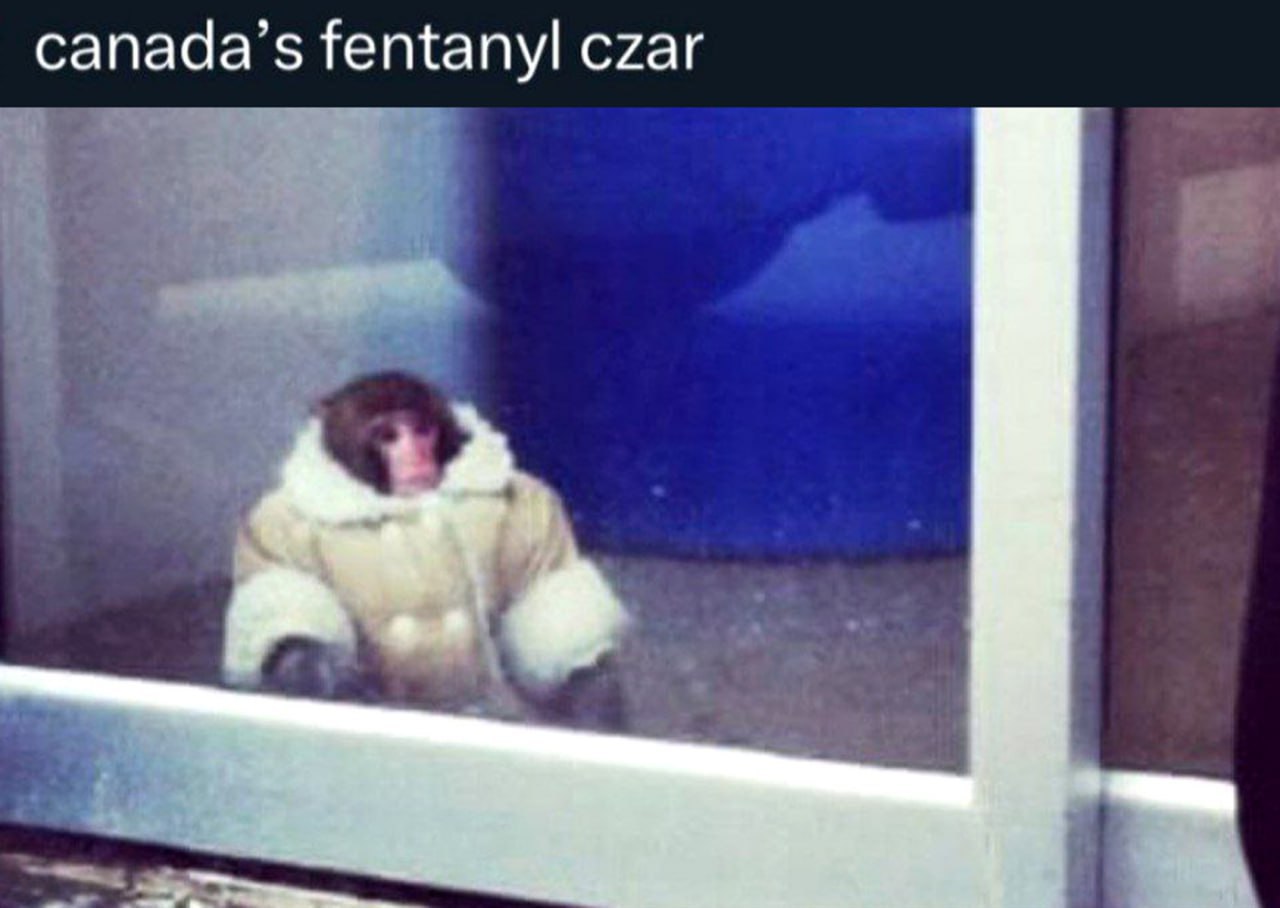 canada’s fentanyl czar