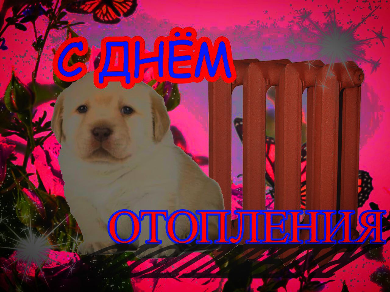 5 и 4 i 4