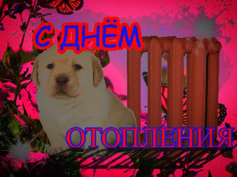 5 и 4 i 4