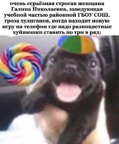 очень серьёзная строгая женщина Галина Николаевна, заведующая учебной частью районной ГБОУ СОШ, гроза хулиганов, когда находит новую игру на телефон где надо разноцветные хуйнюшкп ставить по три в ряд