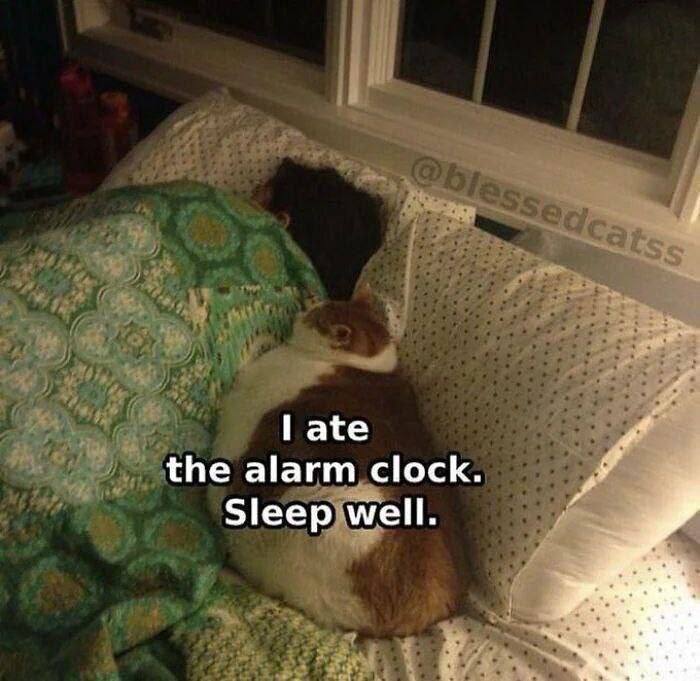 ate the alarm clock. Sleep well.