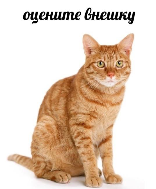 оцените