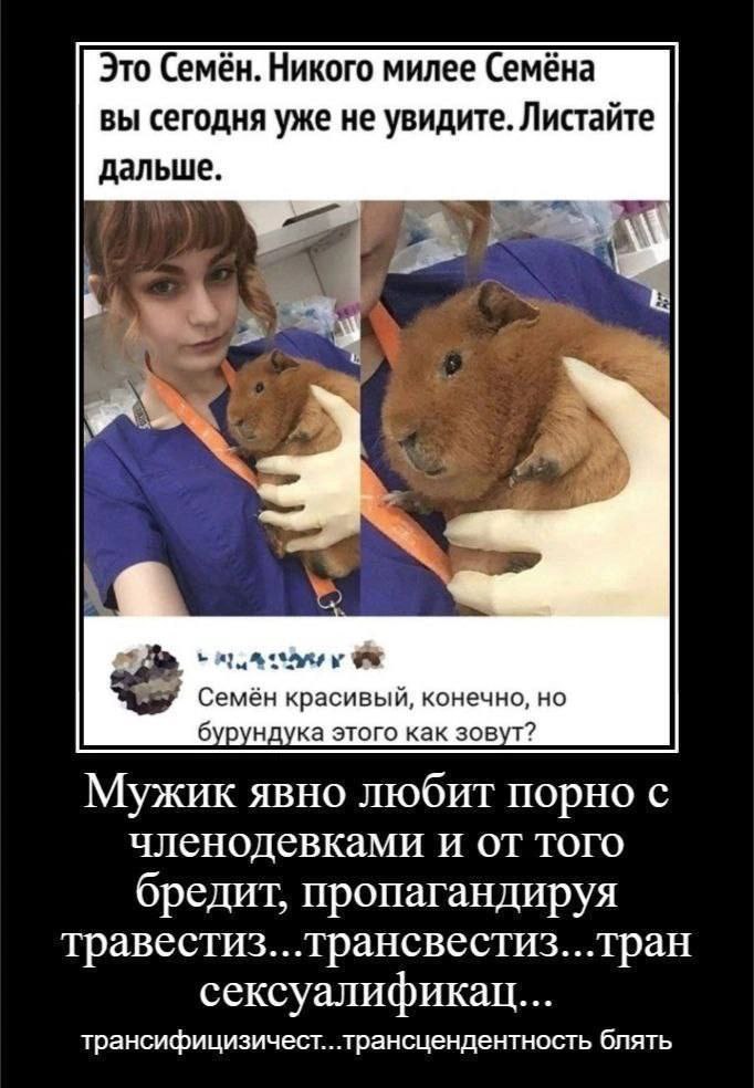 Это Семён. Никого милее Семёна вы сегодня уже не увидите. Листайте дальше. Семён красивый, конечно, но бурундука этого как зовут? Мужик явно любит порно с членодевками и от того бредит, пропагандируя 