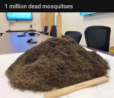 1 million dead mosquitoes