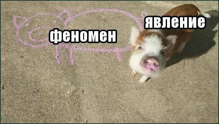 Noe as НИЕ as ОМЕН фен aN on rite fan