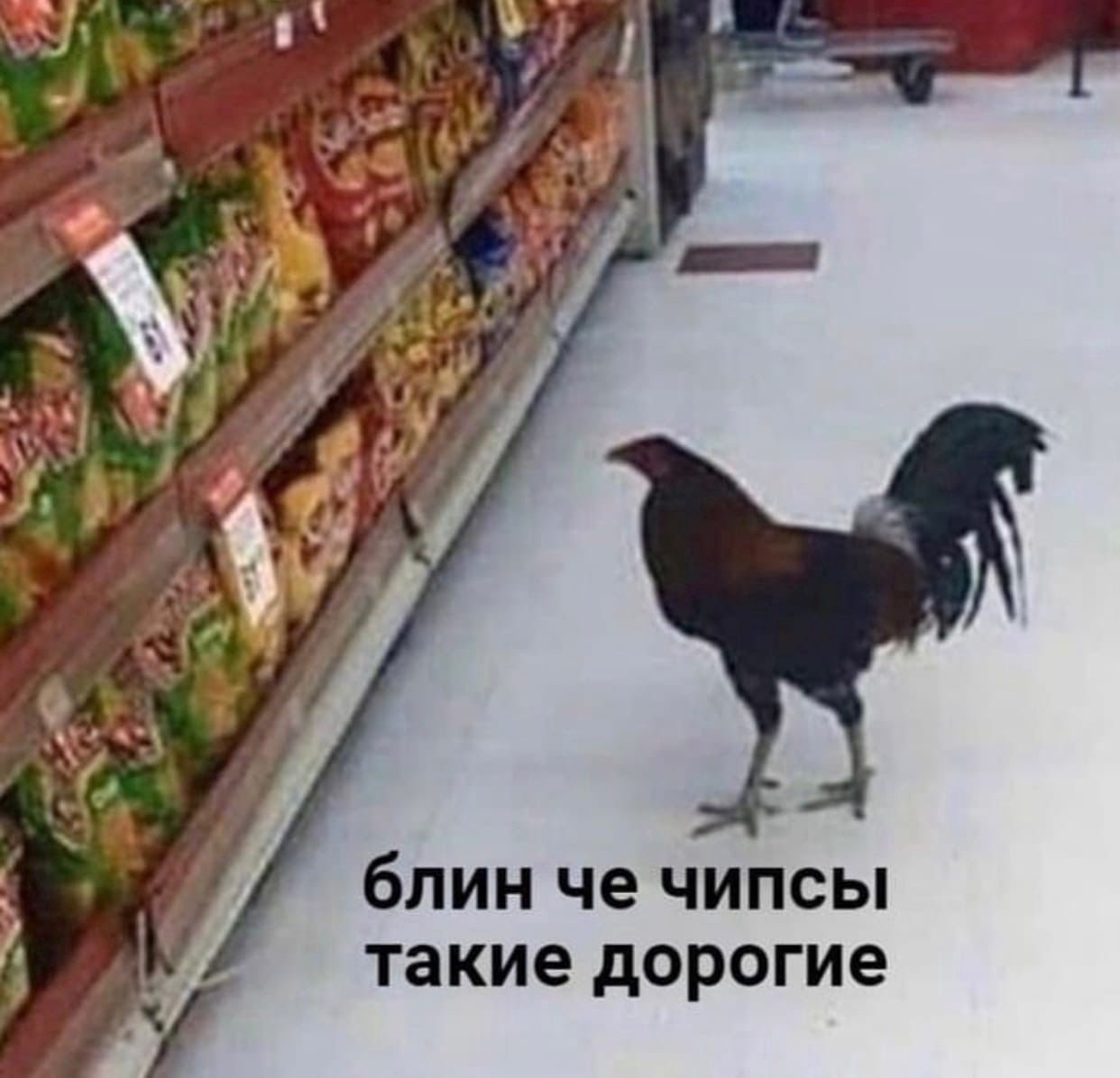 3 7 блин че чипсы такие дорогие