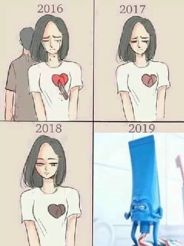 2016 2017