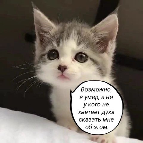 Возможно, я умер, а ни у кого не хватает духа сказать мне 06 этом.
