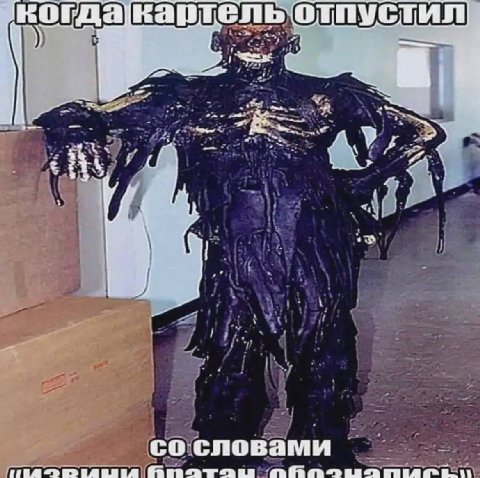когдакартель отпустил a словами