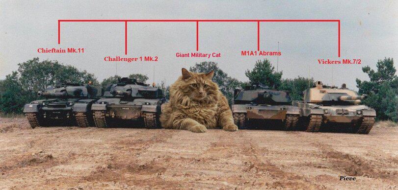 Chieftain Abrams Giant Military Cat Challenger 1 Vickers i ast a а a sek if я; at eve 7 ser We