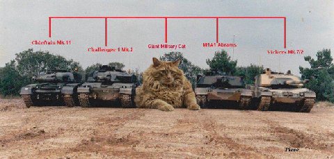 Chieftain Abrams Giant Military Cat Challenger 1 Vickers i ast a а a sek if я; at eve 7 ser We
