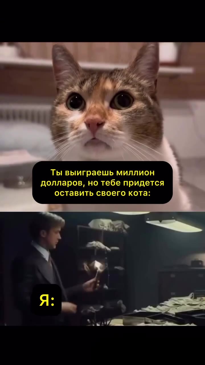 Ты выиграешь миллион долларов, но тебе придется оставить своего кота: