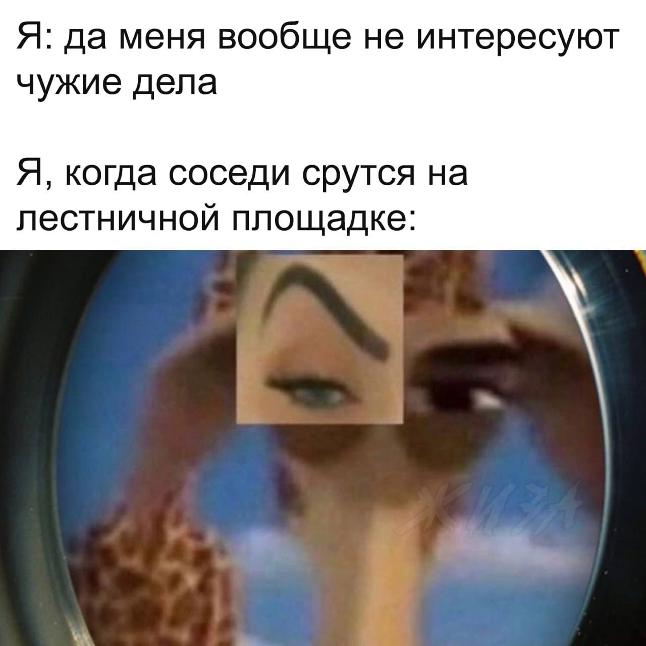 Я: да меня вообще не интересуют чужие дела Я, когда соседи срутся на лестничной площадке: