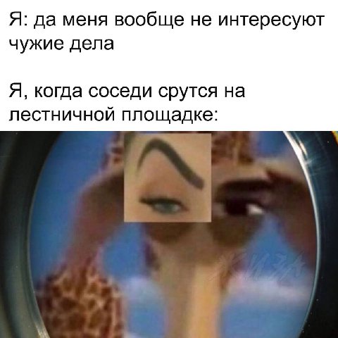Я: да меня вообще не интересуют чужие дела Я, когда соседи срутся на лестничной площадке: