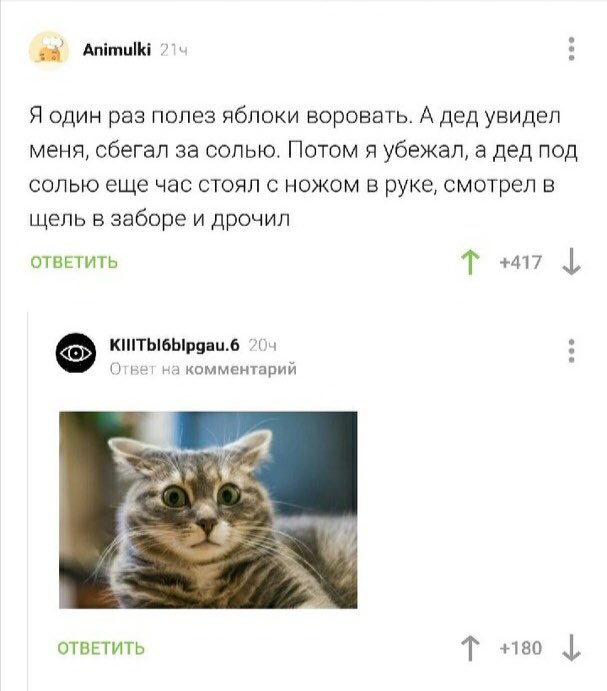 Animulki Я один раз полез яблоки воровать. А дед увидел меня, сбегал за солью. Потом я убежал, а дед под солью еще час стоял с ножом в руке, смотрел в щель в заборе и дрочил ОТВЕТИТЬ +417 Ответ коммен