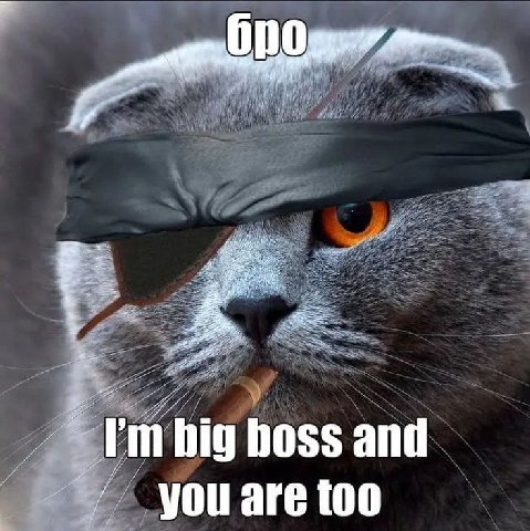 hig boss and А you are too